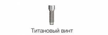 Титановый винт ComOcta на абатмент SS